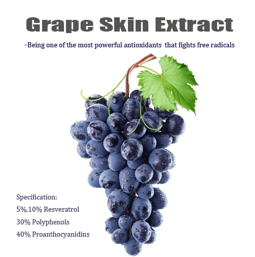 ot Sell Grape Peel Powder Resveratrol Polyphenol Proanthocyanidin Grape Skin Extract